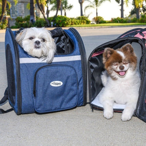a image of two cute dogs inside on a denim colored dog carrier on the streets