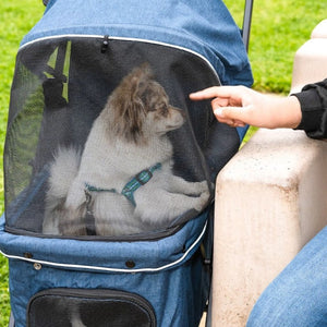 a hand poking on a cute dog inside a Malibu Dog Stroller at the park 