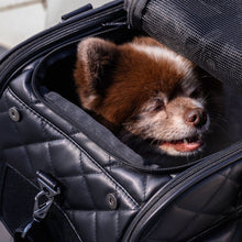 a close up image of a happy dog inside a black dog carrier