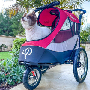 a close up image of a dog standing inside of a red colored Dog Jogger Stroller in the garden