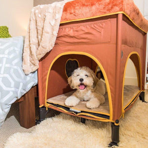 a cute furry dog inside of a Brown Lounge Dog Bed, Lion's Den next to a wooden bed 