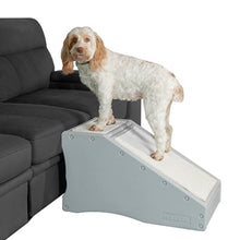 a furry dog standing on a grey colored ramp stem combination next to a grey couch