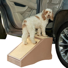 a fluffy dog standing on a tan colored step ramp combination next to a balck car