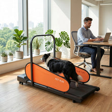Dog Treadmill with LED Display & Adjustable Speed