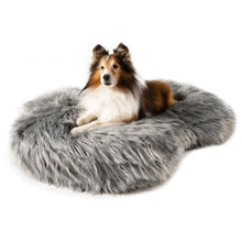 an australian shepered laying on top of a grey furry dog bed