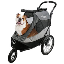 a bulldog in a grey stroller with white background