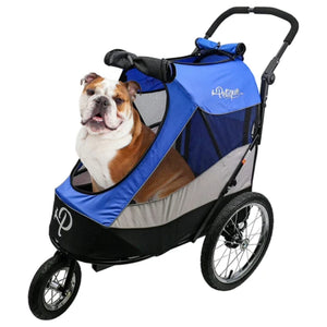 a bulldog in a blue stroller with white background 