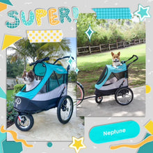 a picture collage of two dogs in a blue green dog stroller roaming the streets 