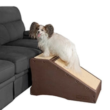 a furry dog standing on a chocolate colored ramp stem combination next to a grey couch