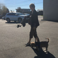 an old lady walking her yorkie wearing Walkabout Front End Harness in the parking lot