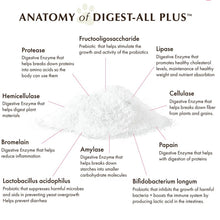 Anatomy of Digest-All Plus