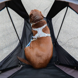 top view image of a dog wearing a white harness inside a black dog stroller