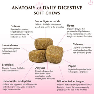 The anatomy of Daily Digestive Soft Chews