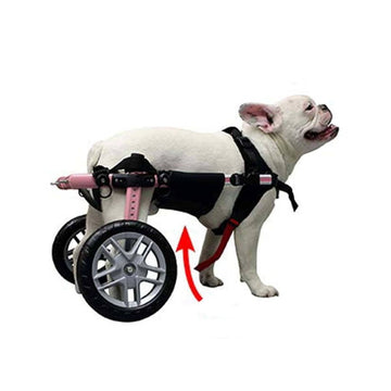 Walkin' Pets, Walkin' Belly Support