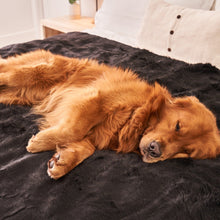 PupProtector™ Summer Short Fur Waterproof Throw Blanket - Midnight Black
