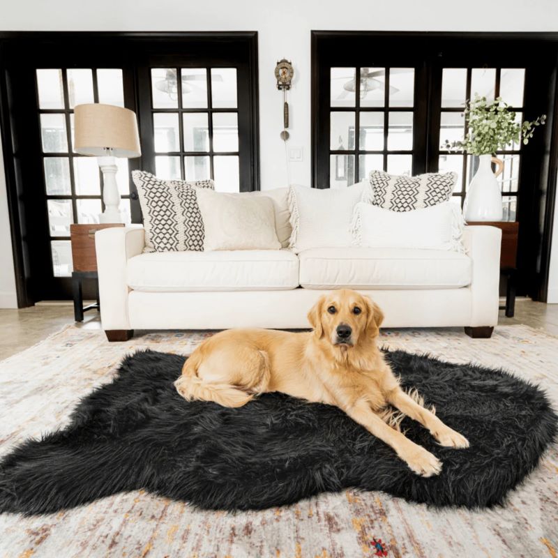 a golden retriever laying on a black furry curved dog bed in front of a white cozy couch in a modern iiving room