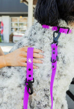 The Modern Dog Company - Electric Fuchsia Leash (Weather + Odor Resistant)