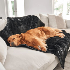 a golden retriever laying on a white couch with black furry dog blanket in an all white living room setting