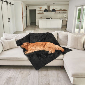 a golden retriever sleeping on a white couch with black furry dog bed in an all white modern living room with kitchen