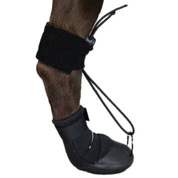 A close up image of Walkabout The Toe'sUP Walkaboot