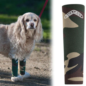 A close up image of a Camo Walkabout Compression Sleeve and a clumber spaniel wearing it 