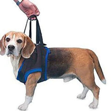 A picture of  dachshund wearing Airlift One Amputee Harness, Front End being held by a mans hand