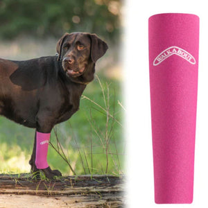 A close up image of a pink Walkabout Compression Sleeve and a black labrador wearing it 