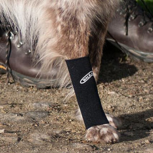 A close up image of a leg of a dog wearing black Walkabout Compression Sleeve next to a brown boots
