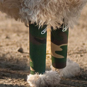 A close up image of a furry dog wearing a Camo Walkabout Compression Sleeve