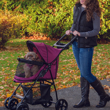 a woman walking her dog in the park in a pink colored dog stroller