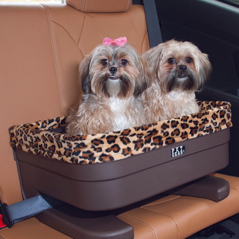 close up image of two shih-tzu inside a brown dog bucket seat in a leather car seat