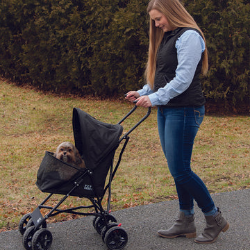 a woman walking her dog in a black stroller in the park