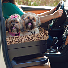 Close up image of two shih-tzu sticking their tongue out inside a bucket seat with jaguar insert next to a driving lady in green