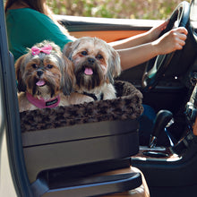 Two shih-tzu sticking their tongue out inside a black dog bucket next to a driving lady