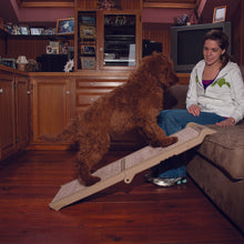 a lady sitting on the brown couch inside a living room teaching her dog get to get on the couch through a bi-fold ramp