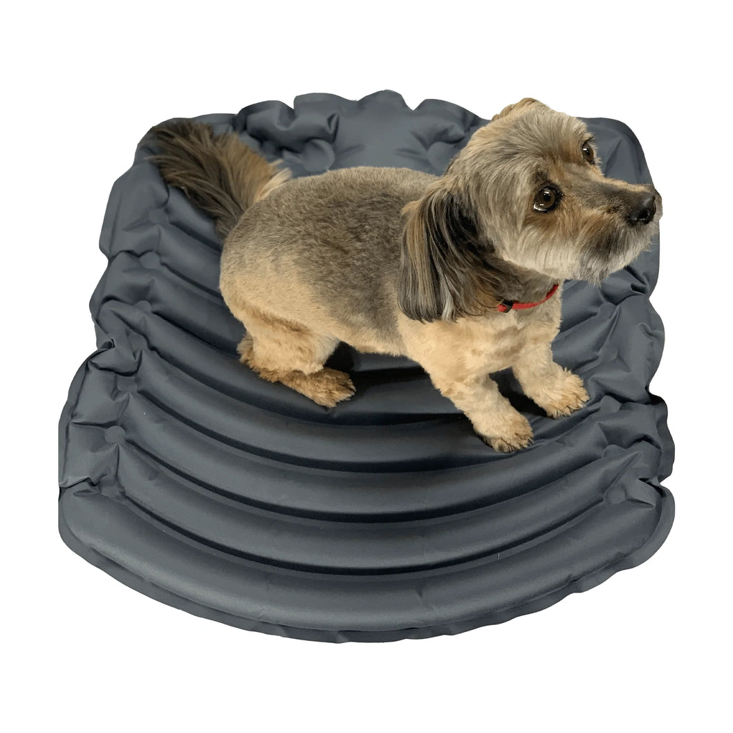 a dog looking up sitting on an inflatable dog bed 