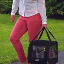 a lady outdoors carrying her dog inside a dog car seat/carrier 