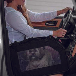 a driving lady next to a shih-tzu inside a black car seat/ carrier 