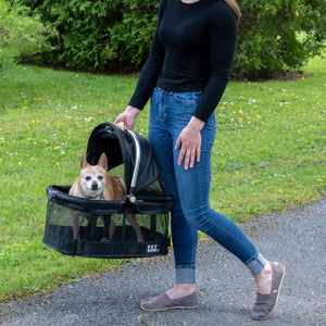 a lady standing outdoors carrying her dog on a semi open black View 360 pet Carrier