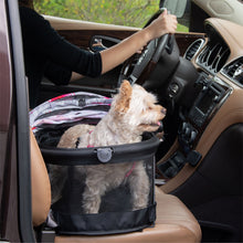 a close up image of a dog inside a Floral View 360 Carrier next to her owner driving a car