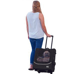 A shih-tzu inside a black dog stroller being held by it's lady owner