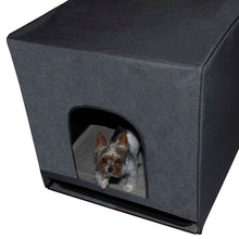 Pro Pawty, Medium