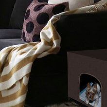 Pro Pawty, Large - image 4