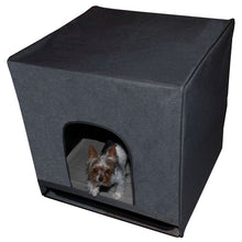 Pro Pawty, Large