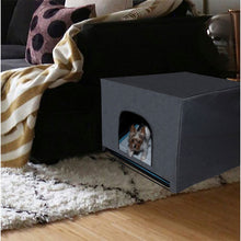 Pro Pawty, Large - image 3
