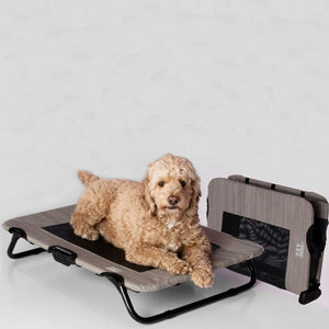 a close up image of a golden doodle laying on a harbor grey dog cot  next to another folded dog cot 