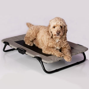 A golden doodle laying on a harbor grey dog cot 