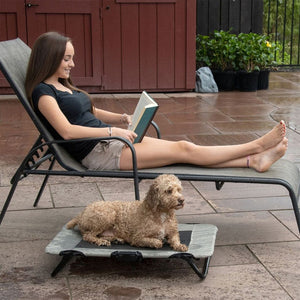 a lady wearing black reading a book at the poolside on a side pool bed next to a golden doodle laying on a harbor grey dog cot  and some potted plants on the background