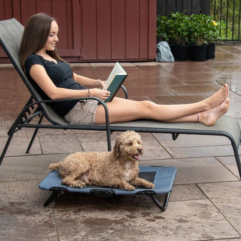 a lady sitting on a side pool lounge reading a book next to a brown furry dog laying on a lake blue dog cot next to a pool and some potted plants on the background 