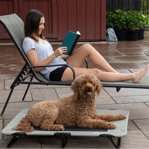 an image of a lady on the side of the pool reading a book next to her toy poodle laying on a harbor gray dog cot and some potted plants on the background